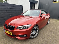 BMW 2-serie Cabrio - 220i High Executive Edition, M-Sport, Dealer onderhouden