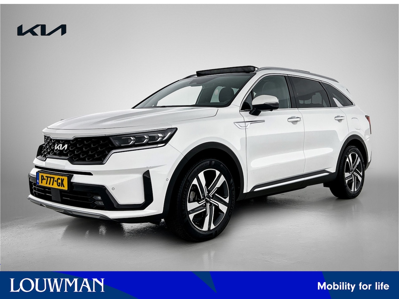 Kia Sorento - 1.6 T-GDI Plug-in Hybrid 4WD ExecutiveLine 7p. Stoelverwarming & Verkoeling | Panoramadak - AutoWereld.nl