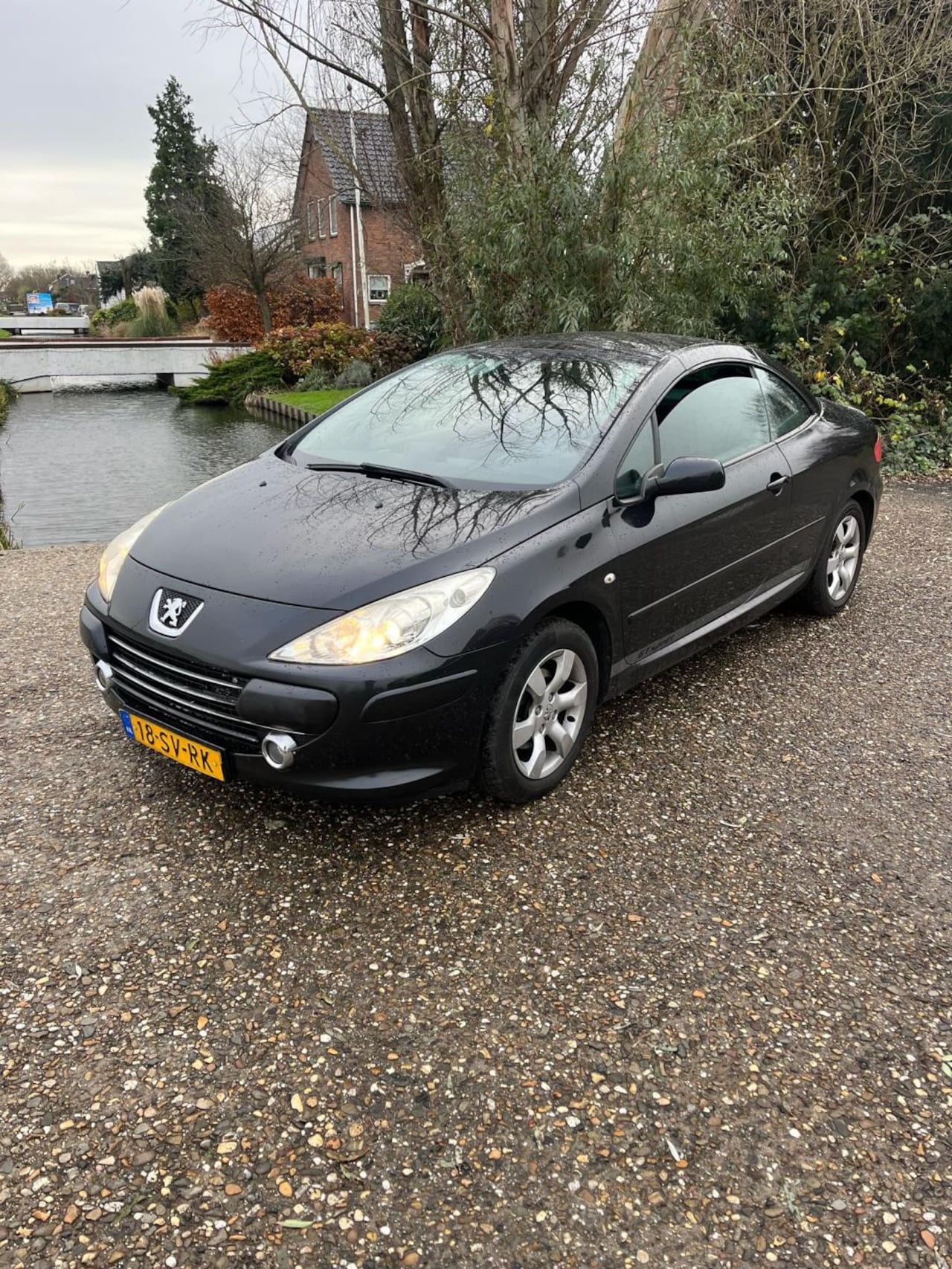 Peugeot 307 CC - 1.6-16V cabriolet - AutoWereld.nl