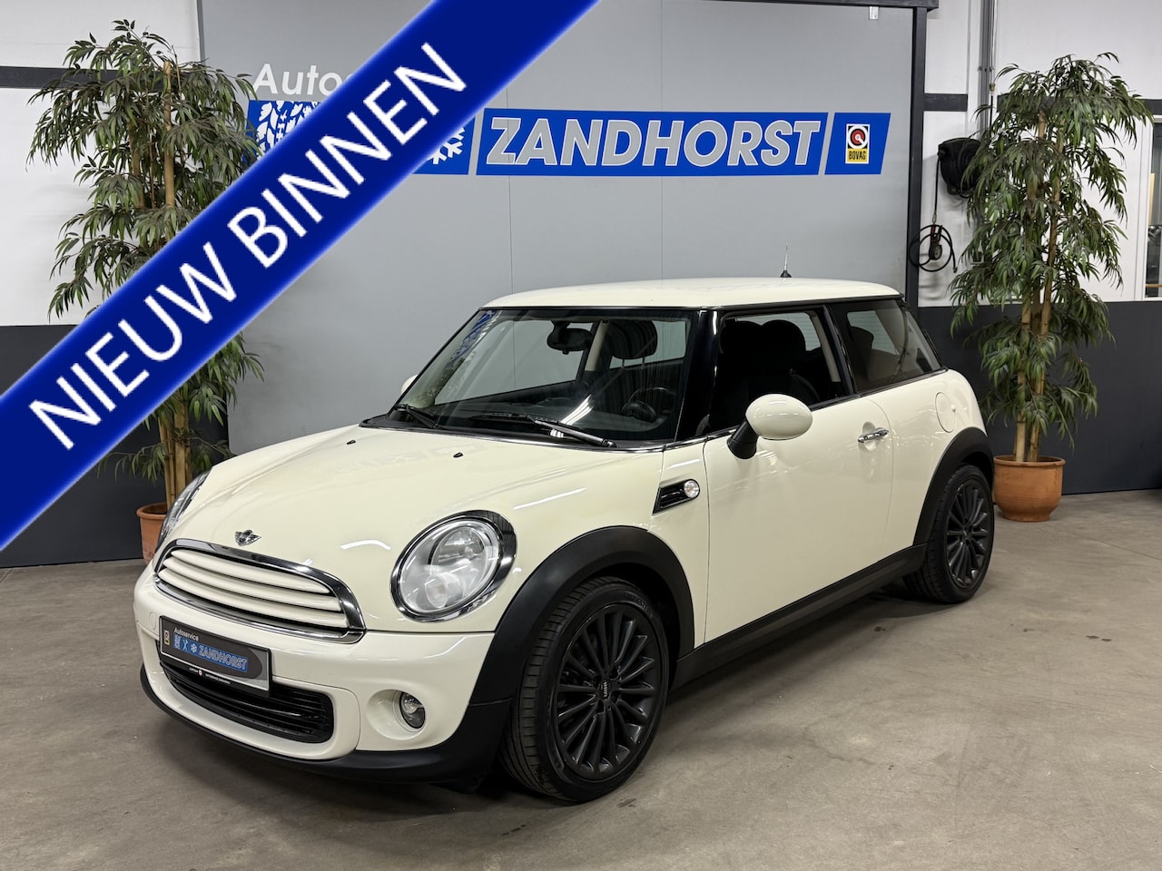 MINI One - Mini 1.6 MINIMALIST Business Line - AutoWereld.nl