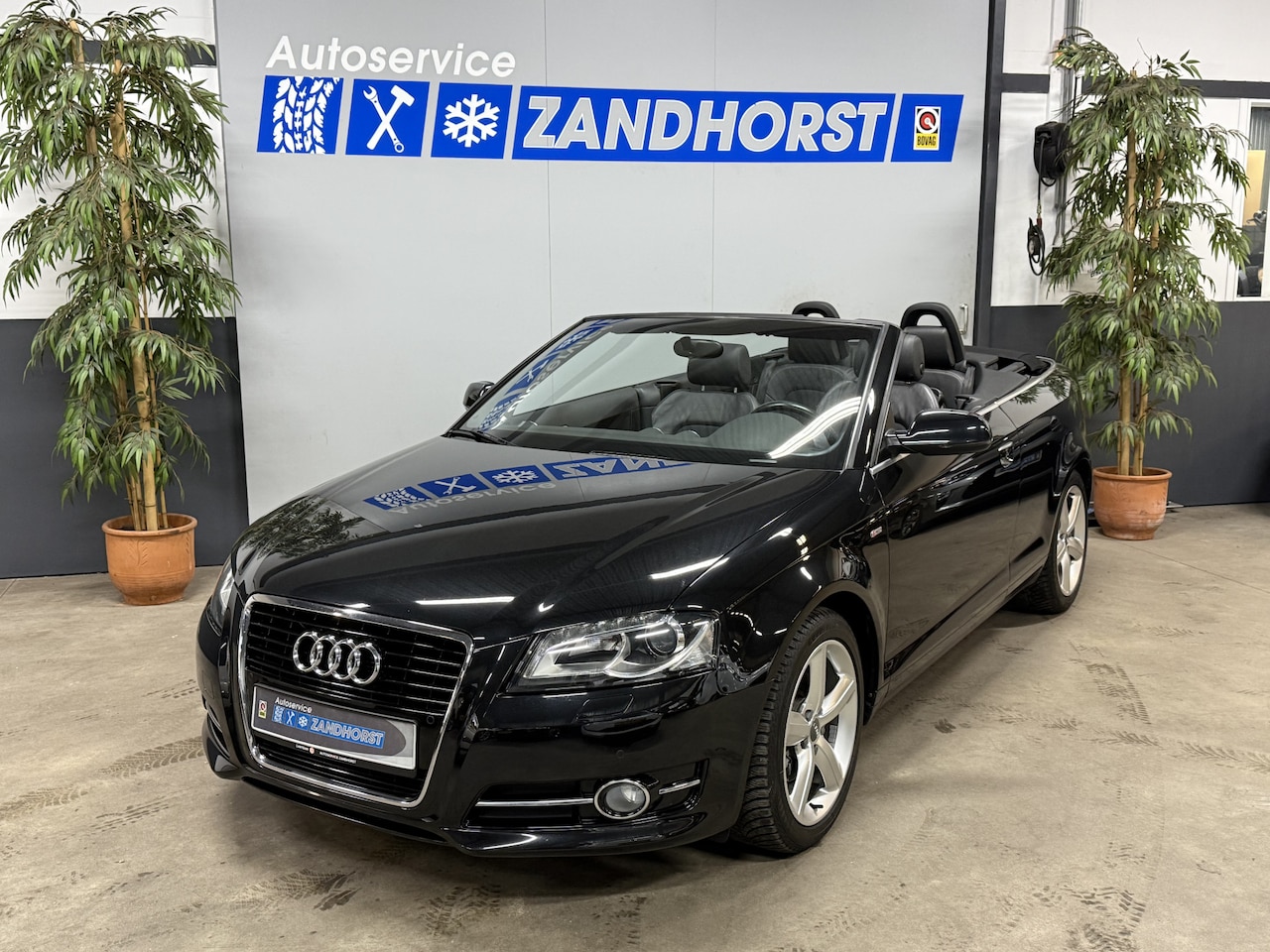 Audi A3 Cabriolet - 1.8 TFSI Ambition Pro Line S // Half Leer // S-Line - AutoWereld.nl