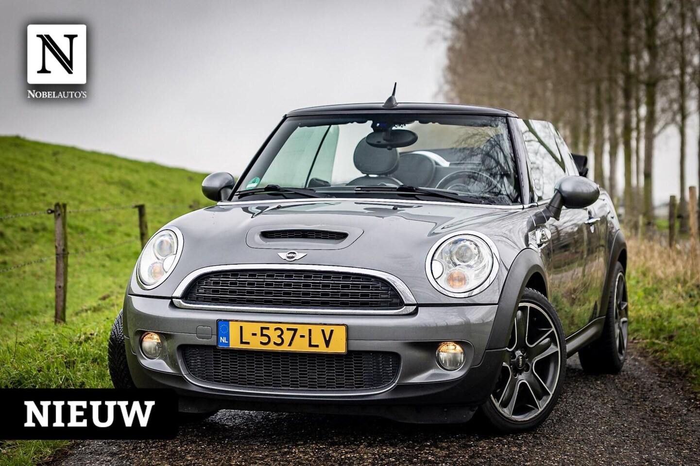 MINI Cabrio - 1.6 Cooper S|Cabrio |174pk|Leer |Stoelverwarming - AutoWereld.nl