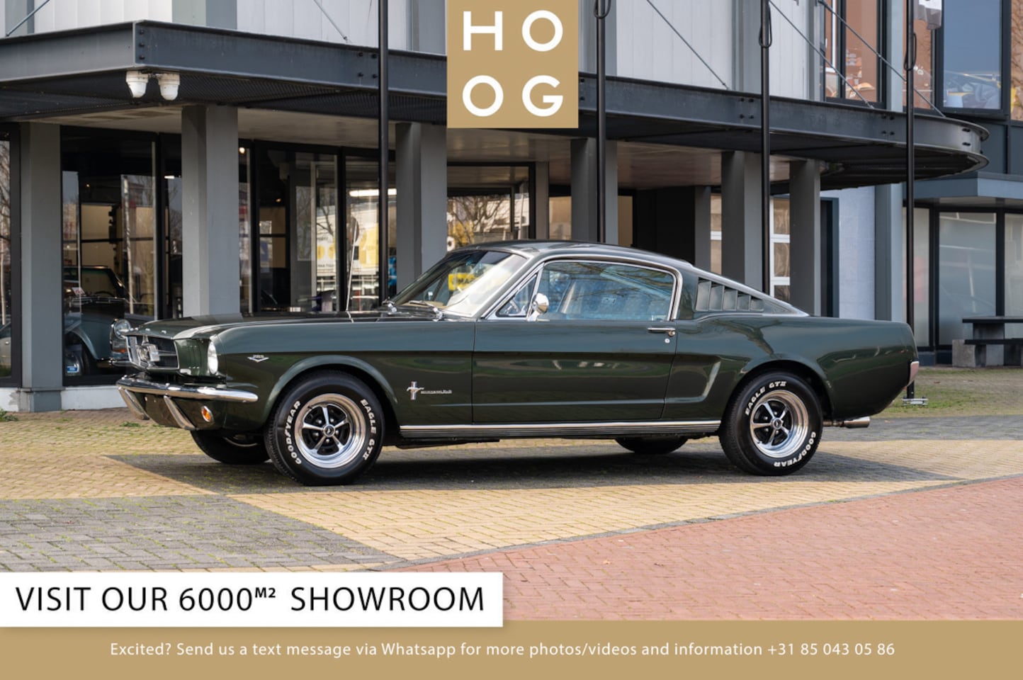 Ford Mustang Fastback - 289 - AutoWereld.nl