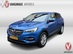 Opel Grandland X - 1.2 Turbo Online Edition | Trekhaak | PDC A | LM | Clima |