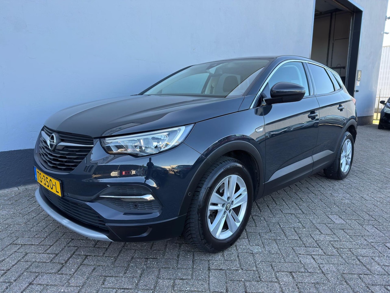 Opel Grandland X - 1.2 Turbo Business Executive 1.2 Turbo Business Executive - AutoWereld.nl