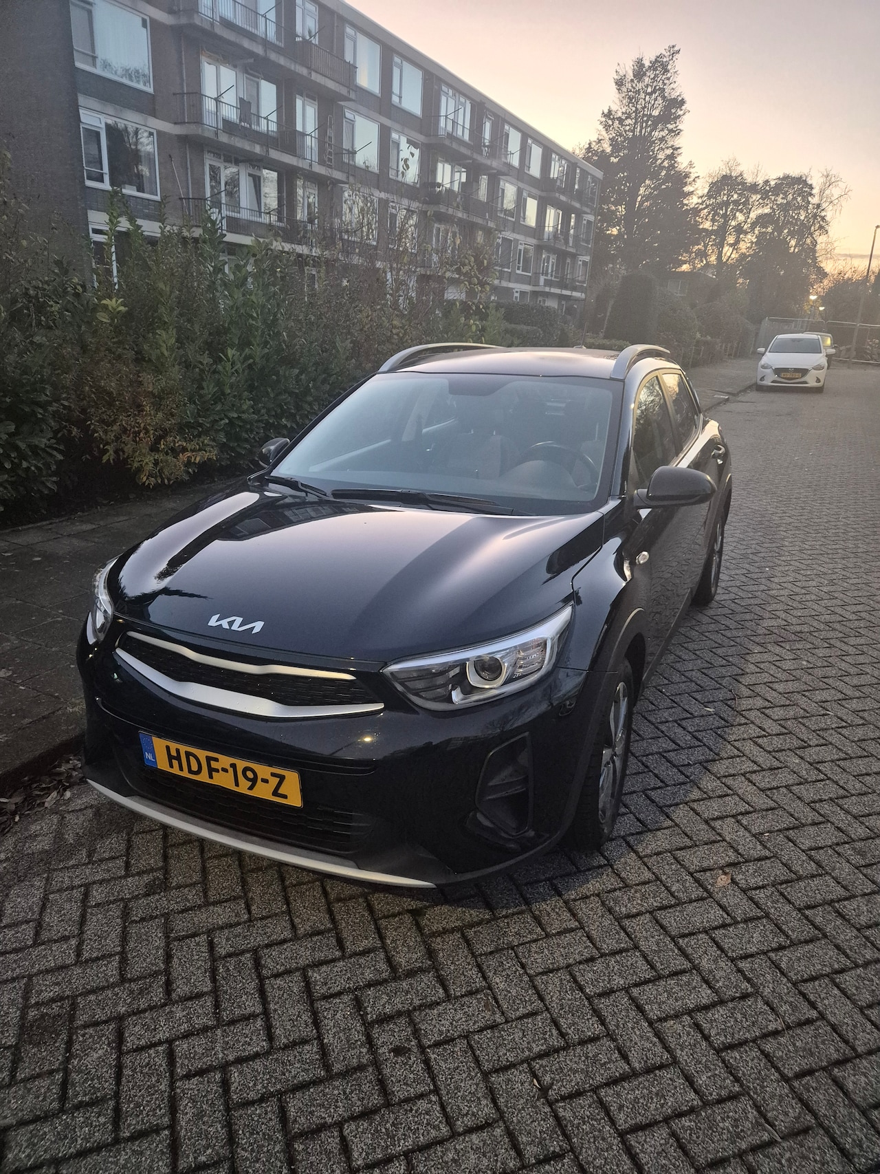 Kia Stonic - 1.2 MPi Design Edition KIA STONIC 1.2 DynamicLine - AutoWereld.nl