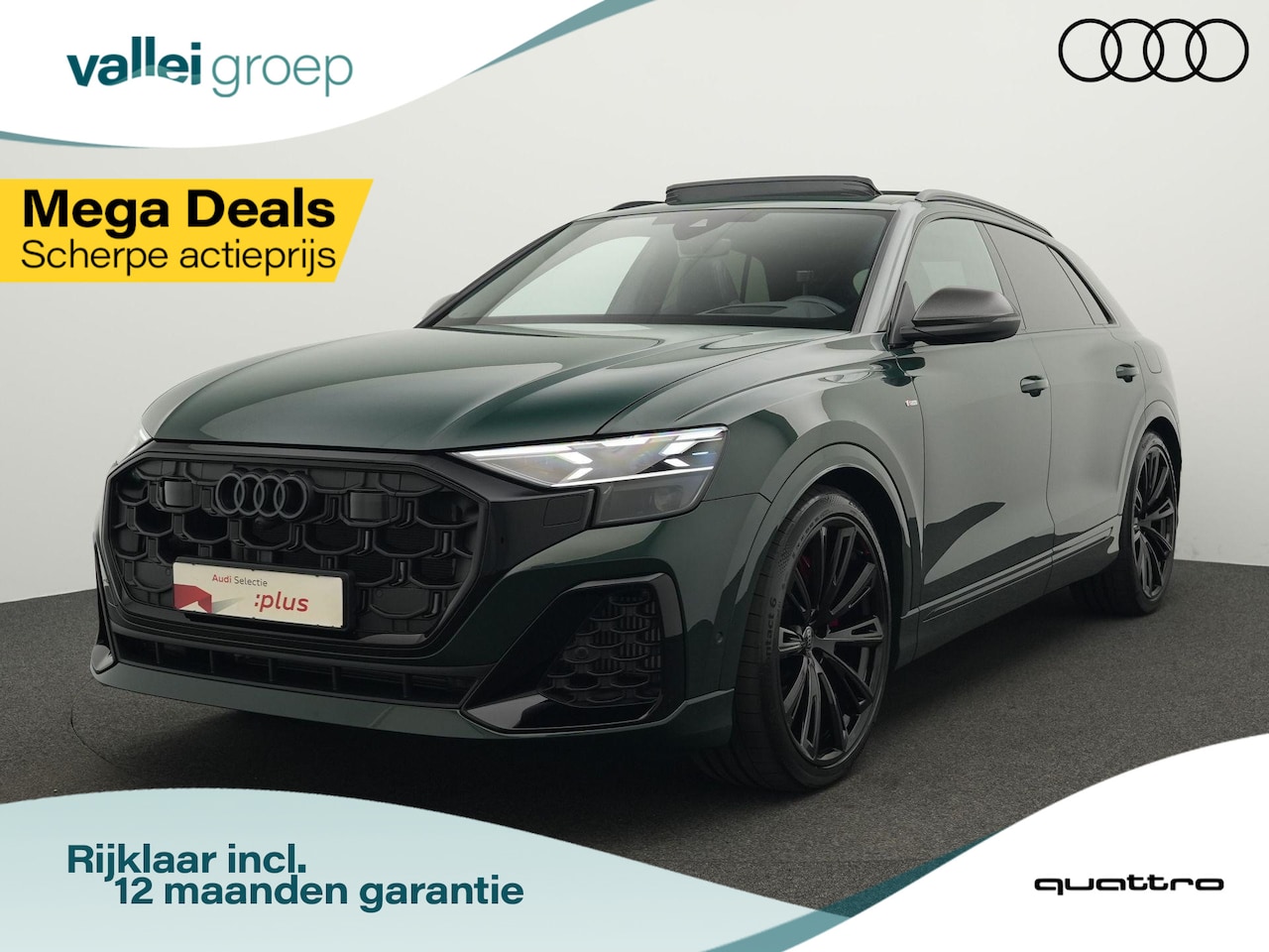 Audi Q8 - 60 TFSI e quattro 490 PK | Competition | Goodwood Green (Audi Exclusive) | Panoramadak | T - AutoWereld.nl