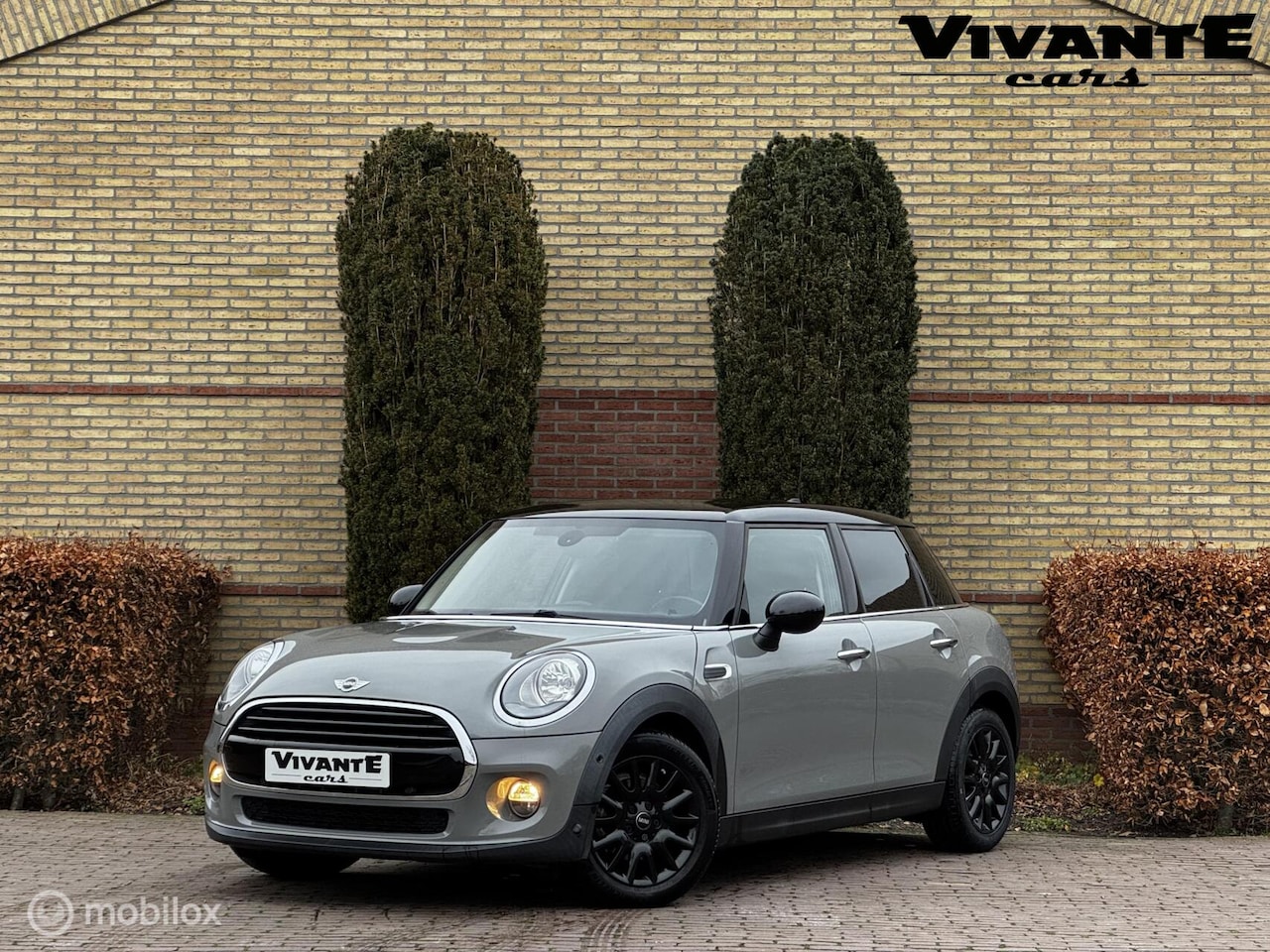 MINI Cooper - Mini 1.5 Pepper Business AUT*Stoel.vrw*Cruise*PDC - AutoWereld.nl