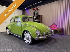 Volkswagen Kever - 1300 / BJ 1972 /