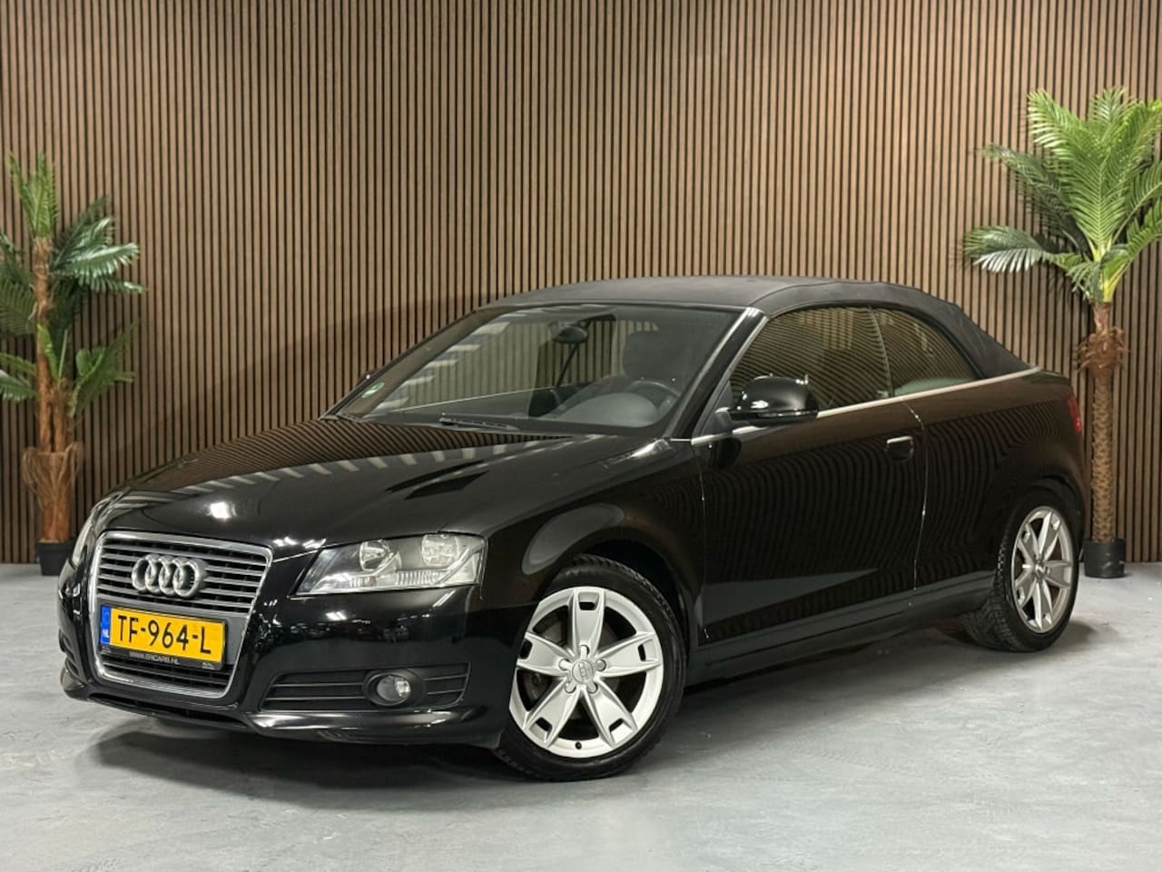 Audi A3 Cabriolet - 1.6 Attraction Pro L, GARANTIE !!! - AutoWereld.nl