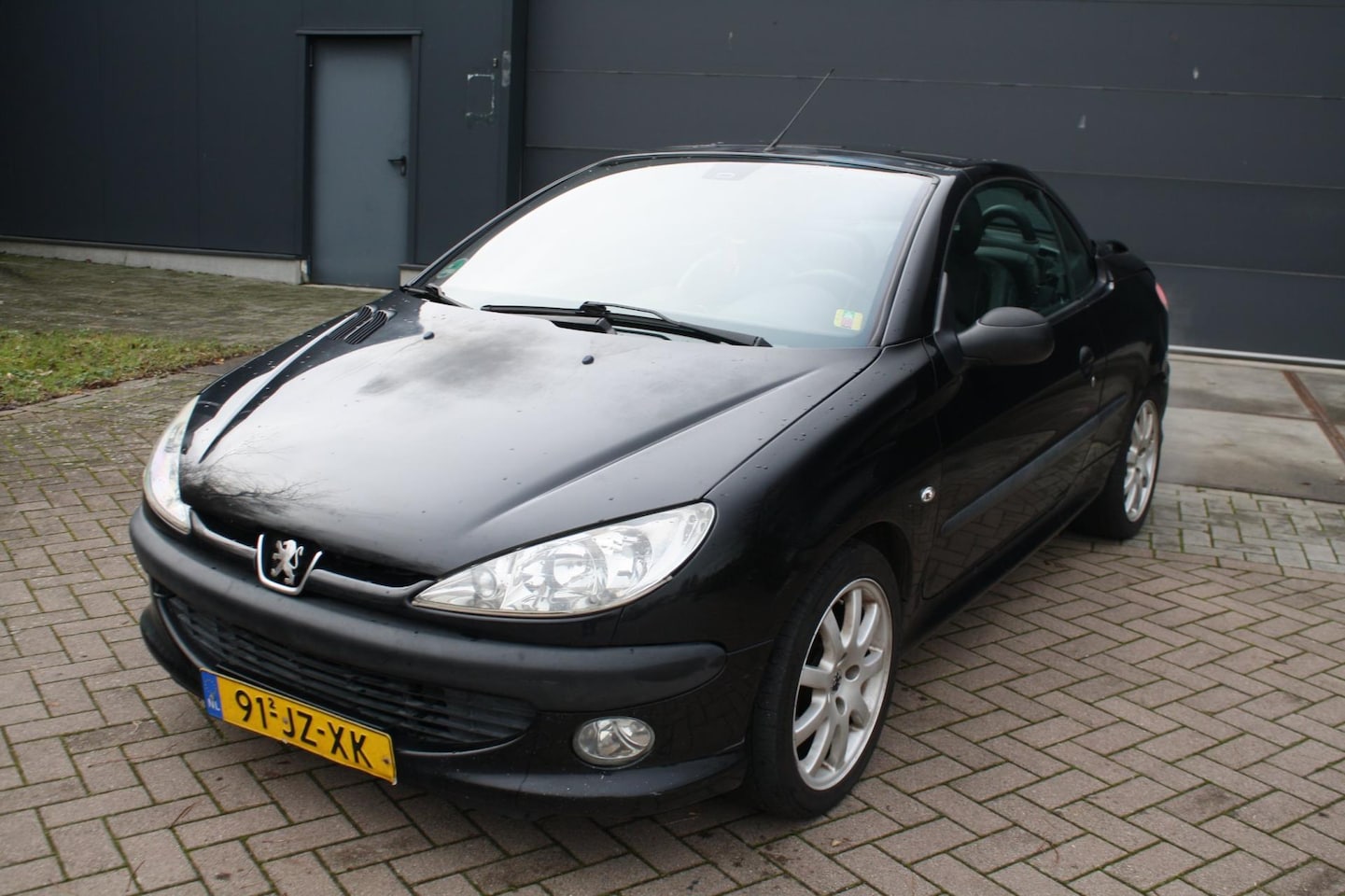 Peugeot 206 CC - 2.0-16V 2.0-16V - AutoWereld.nl