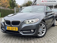 BMW 2-serie Cabrio - 228i High Executive l Harman Kardon l Stoelverwarming l Memory Seats l
