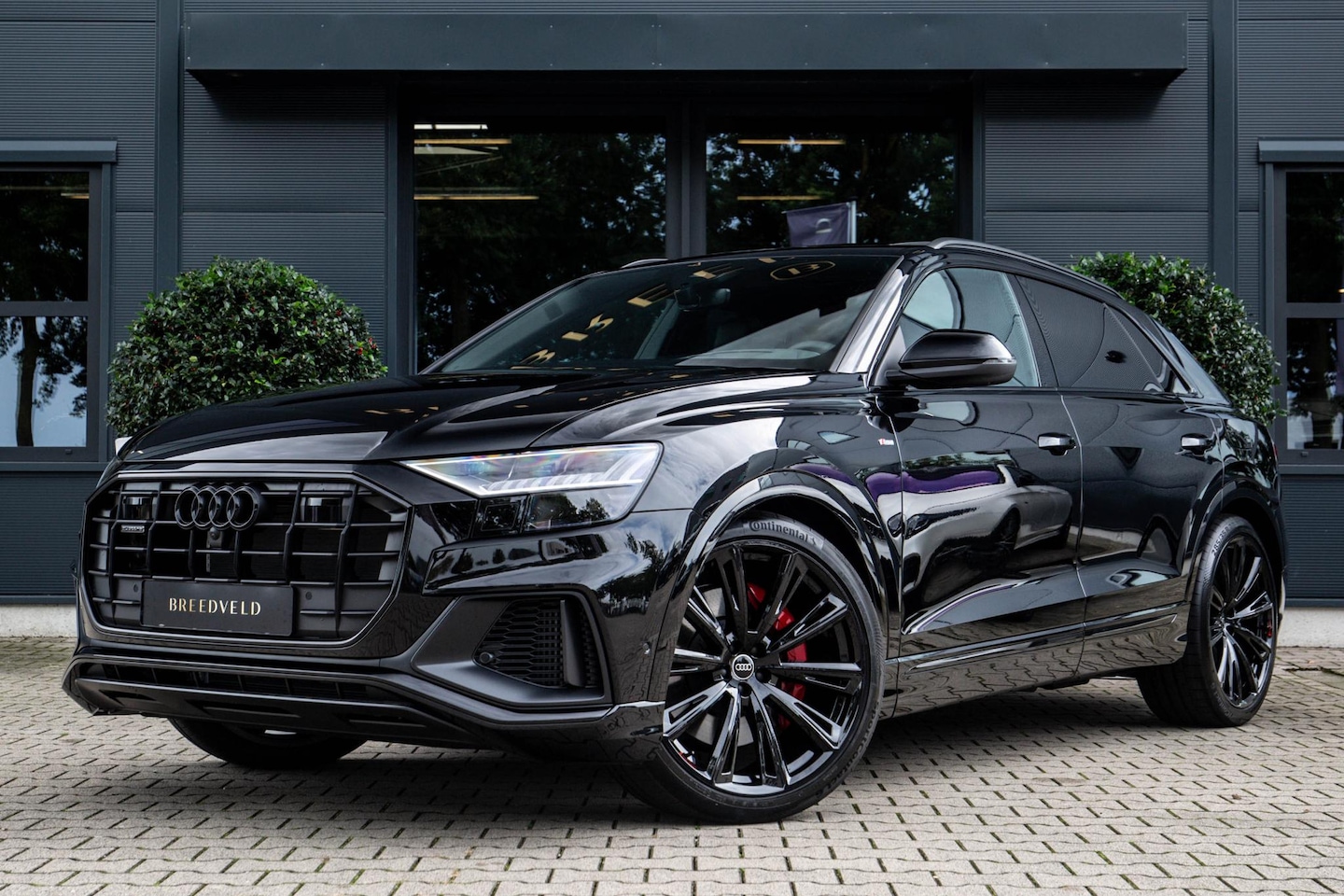 Audi Q8 - 60 TFSI e quattro Pro Line S Competition 60 TFSI e quattro Pro Line S Competition - AutoWereld.nl