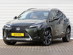 Lexus UX - 250h Executive President Schuifdak