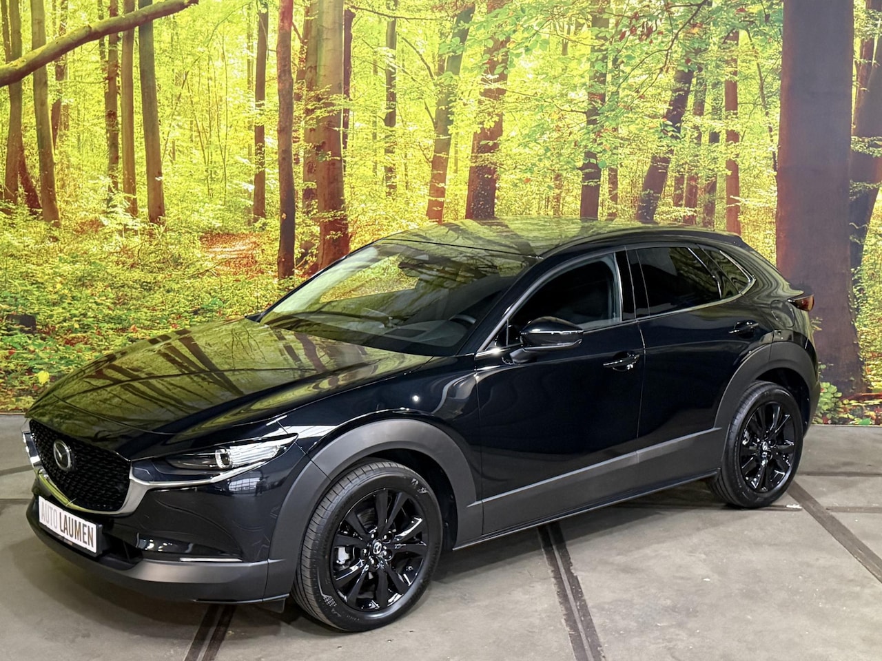 Mazda CX-30 - 2.0 e-SkyActiv-G M Hybrid Homura Automaat Head Up ACC Elek. Klep Navi Camera Keyless 18 In - AutoWereld.nl