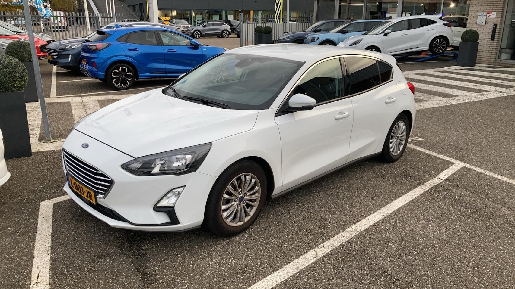 Ford Focus - 1.0 EcoBoost Titanium Business 125pk | Achteruitcamera | Adapt-Cruise Control - AutoWereld.nl