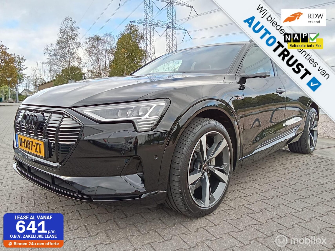 Audi e-tron - 55 quattro edition 95 kWh/408pk/Pano/Trekh 1800kg - AutoWereld.nl