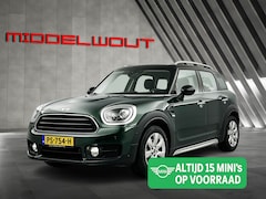 MINI Countryman - 1.5 Cooper Salt/17"/Navi/Blue T