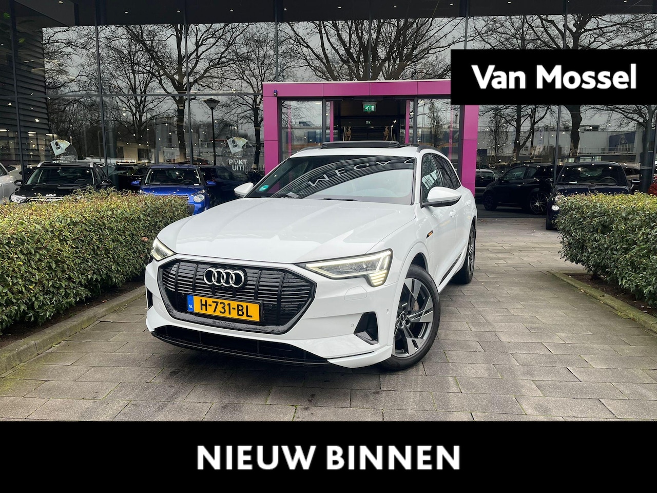 Audi e-tron - e-tron 55 quattro advanced 95 kWh - AutoWereld.nl