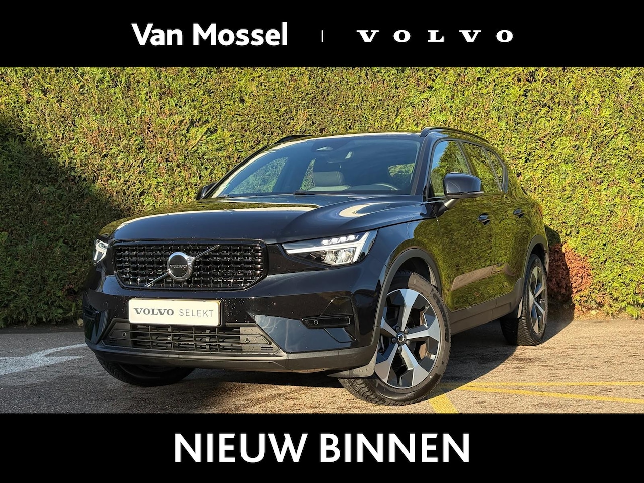 Volvo XC40 - B4 Plus Dark - AutoWereld.nl