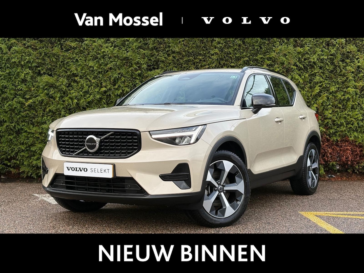 Volvo XC40 - B4 Plus Dark | Harman/Kardon | Trekhaak | Elektrisch Verstelbare stoelen | - AutoWereld.nl