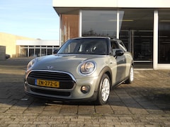 MINI Cooper - Pepper