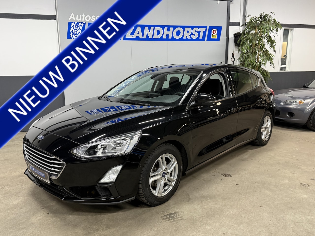 Ford Focus - 1.0 EcoBoost Trend Edition Business // Trekhaak - AutoWereld.nl