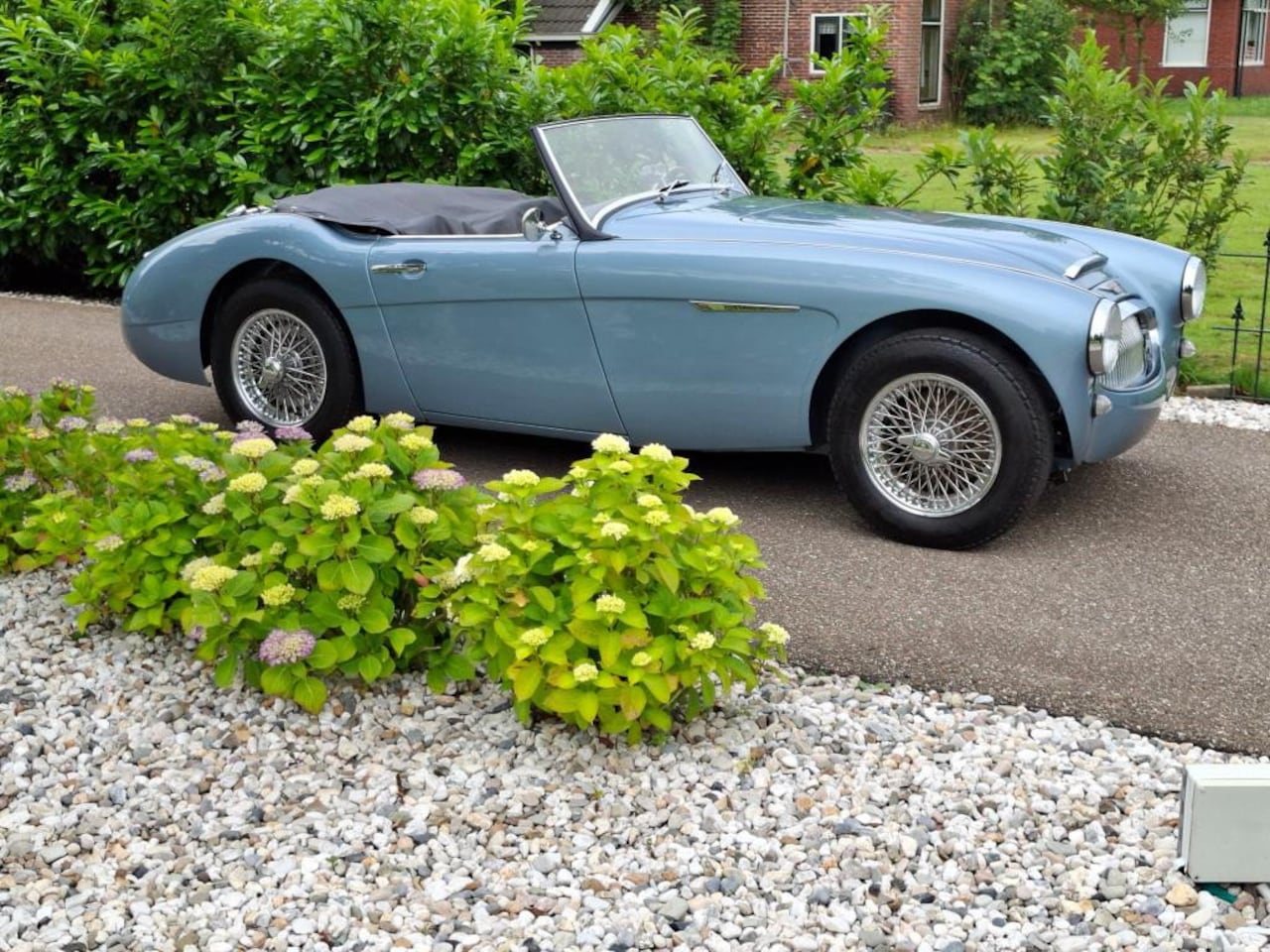 Austin Healey - Ausin CABRIO - AutoWereld.nl