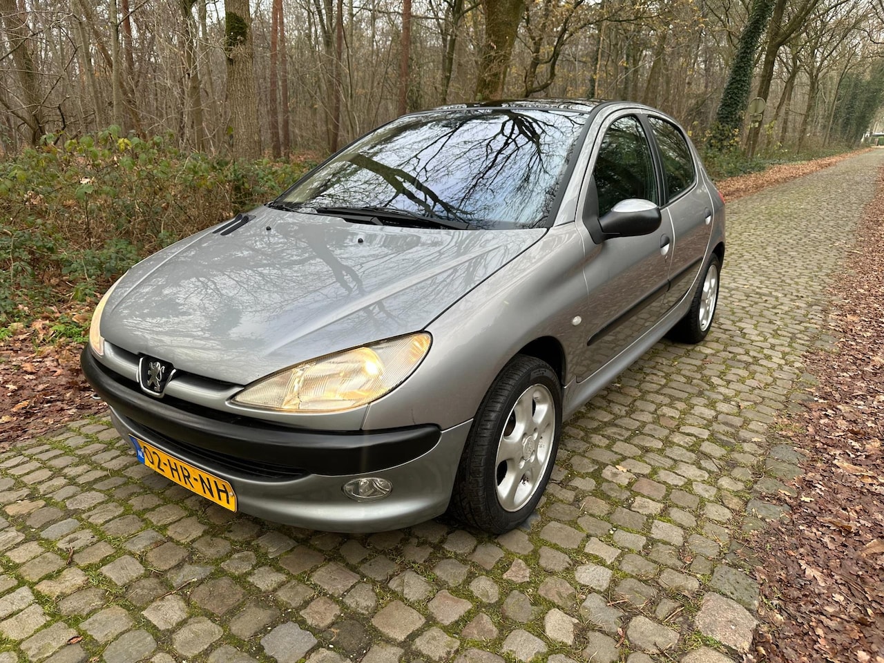 Peugeot 206 - 1.4 Gentry airco apk 12-2026!!! - AutoWereld.nl