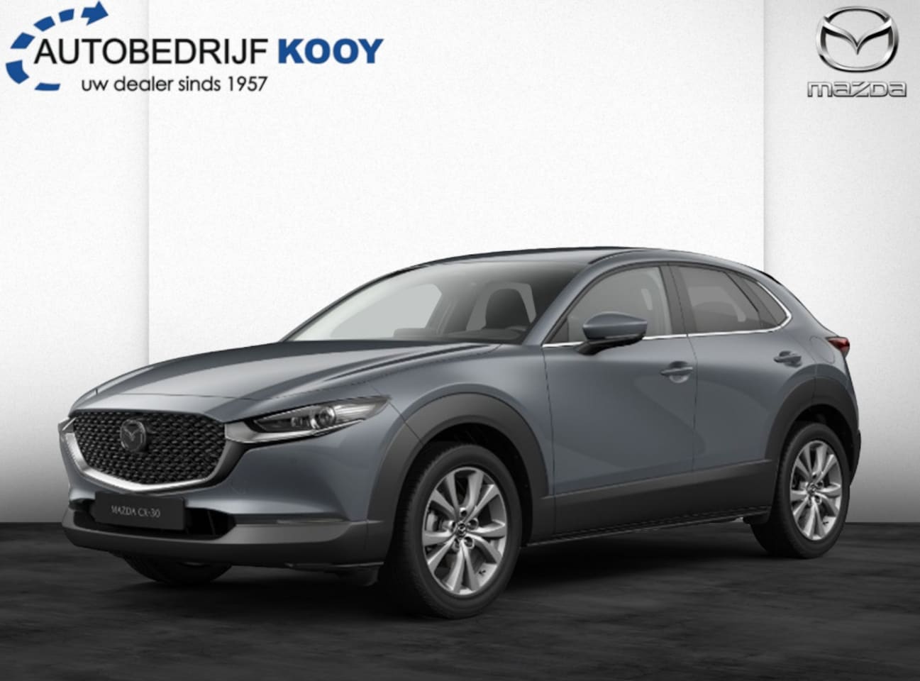 Mazda CX-30 - 2.5 eSA-G Exclusive-Line Business - AutoWereld.nl