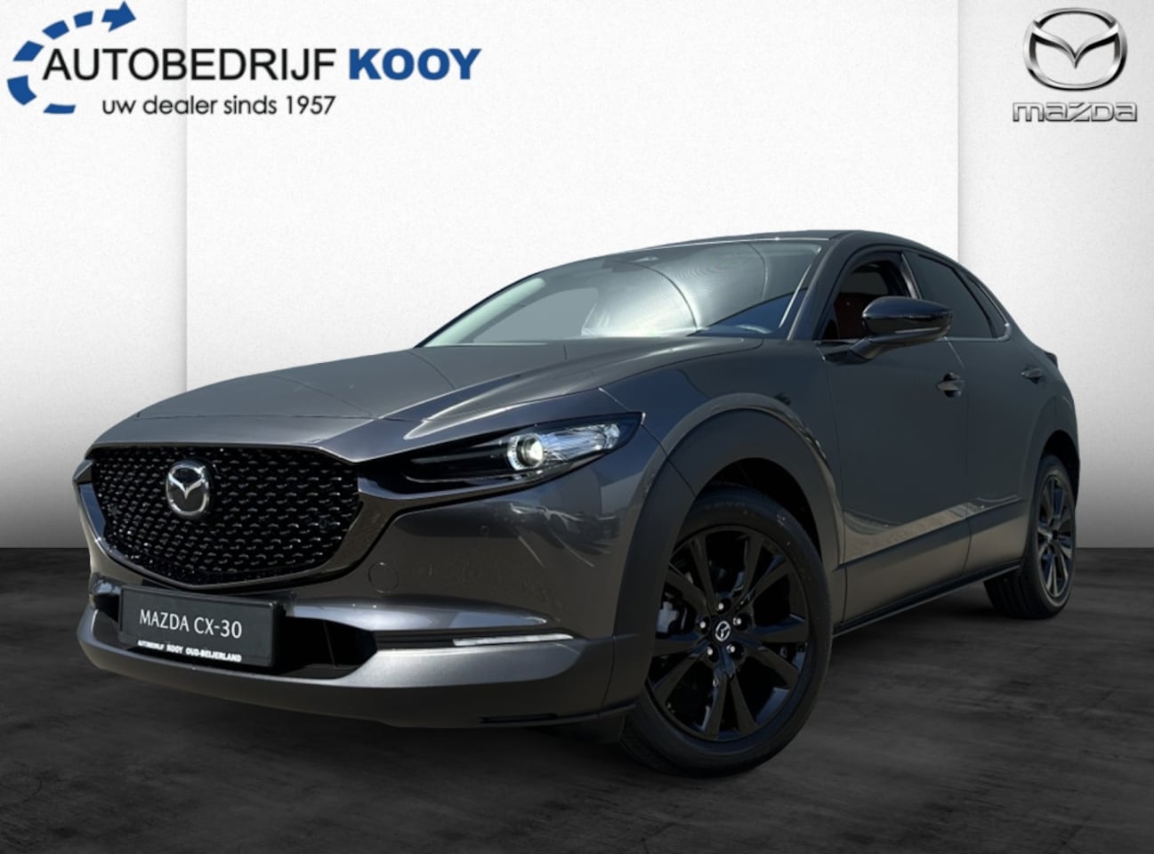 Mazda CX-30 - 2.0 186pk Nagisa Automaat - AutoWereld.nl