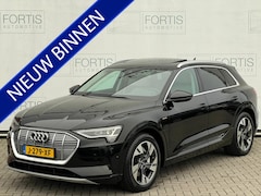 Audi e-tron - 55 quattro Business edition Plus 95 kWh NL AUTO | CAMERA | PANO |