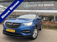 Opel Grandland X - 1.2 Turbo Business Edition Achteruitrijcamera - Cruise control - Airco - Apple carplay - A
