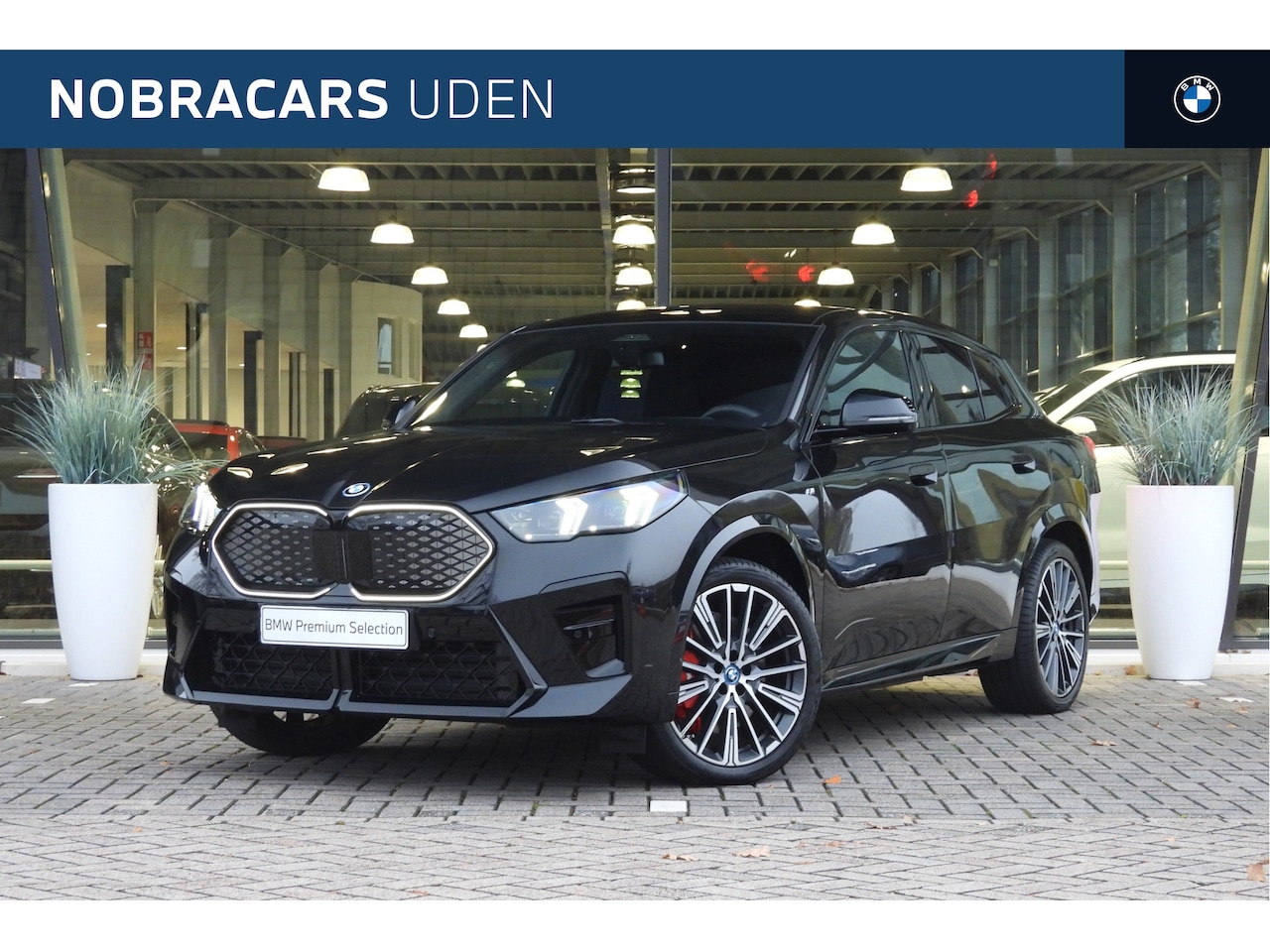 BMW iX2 - eDrive20 High Executive M Sport / Panoramadak / Sportstoelen / M Adaptief onderstel / Comf - AutoWereld.nl