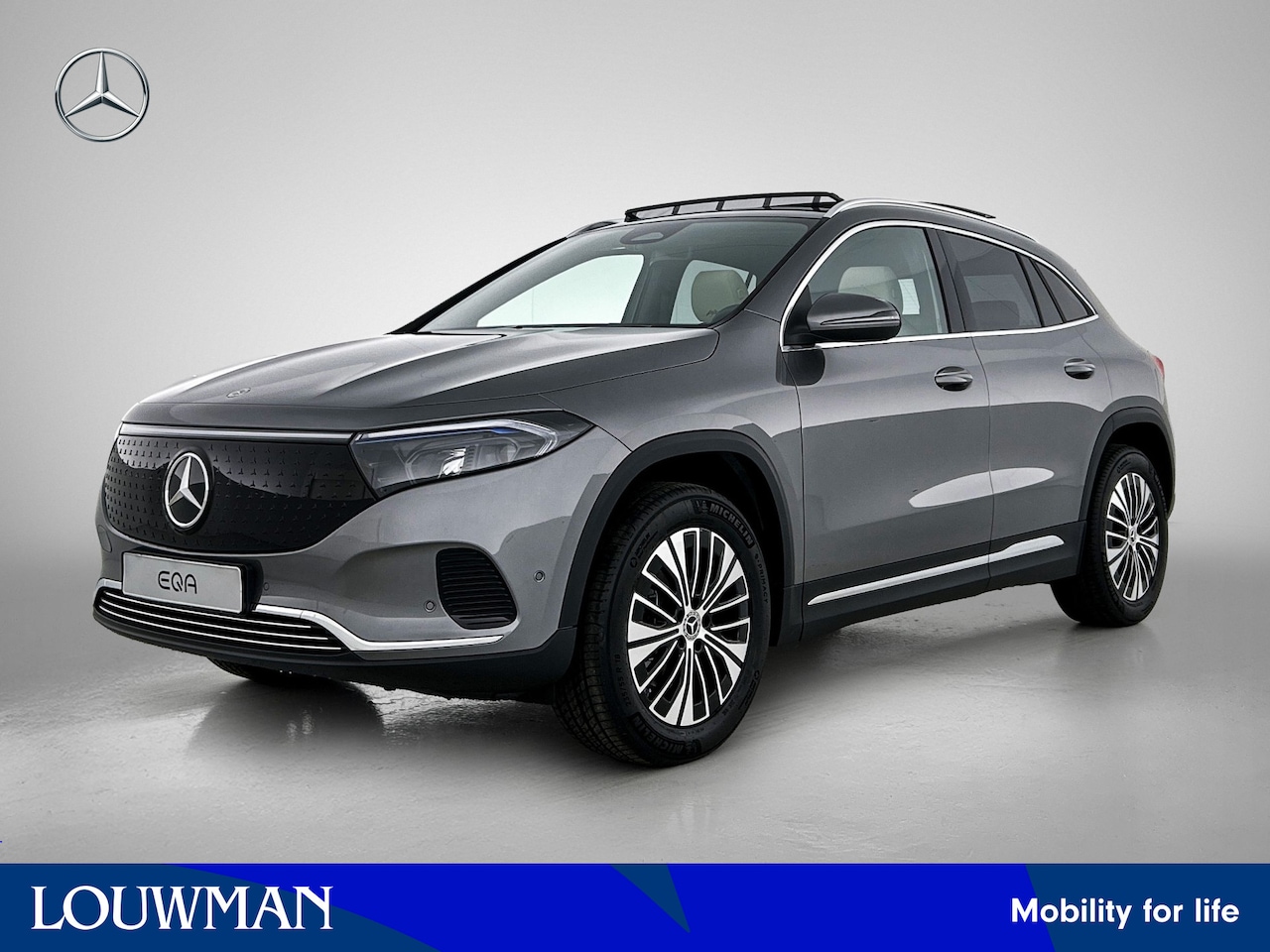 Mercedes-Benz EQA - 250+ Business Solution Luxury 71 kWh | Winter pakket | Sierdelen lindenhout zwart | Donker - AutoWereld.nl