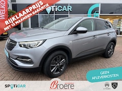 Opel Grandland X - 1.2 Turbo 130pk 120 jaar Edition M6