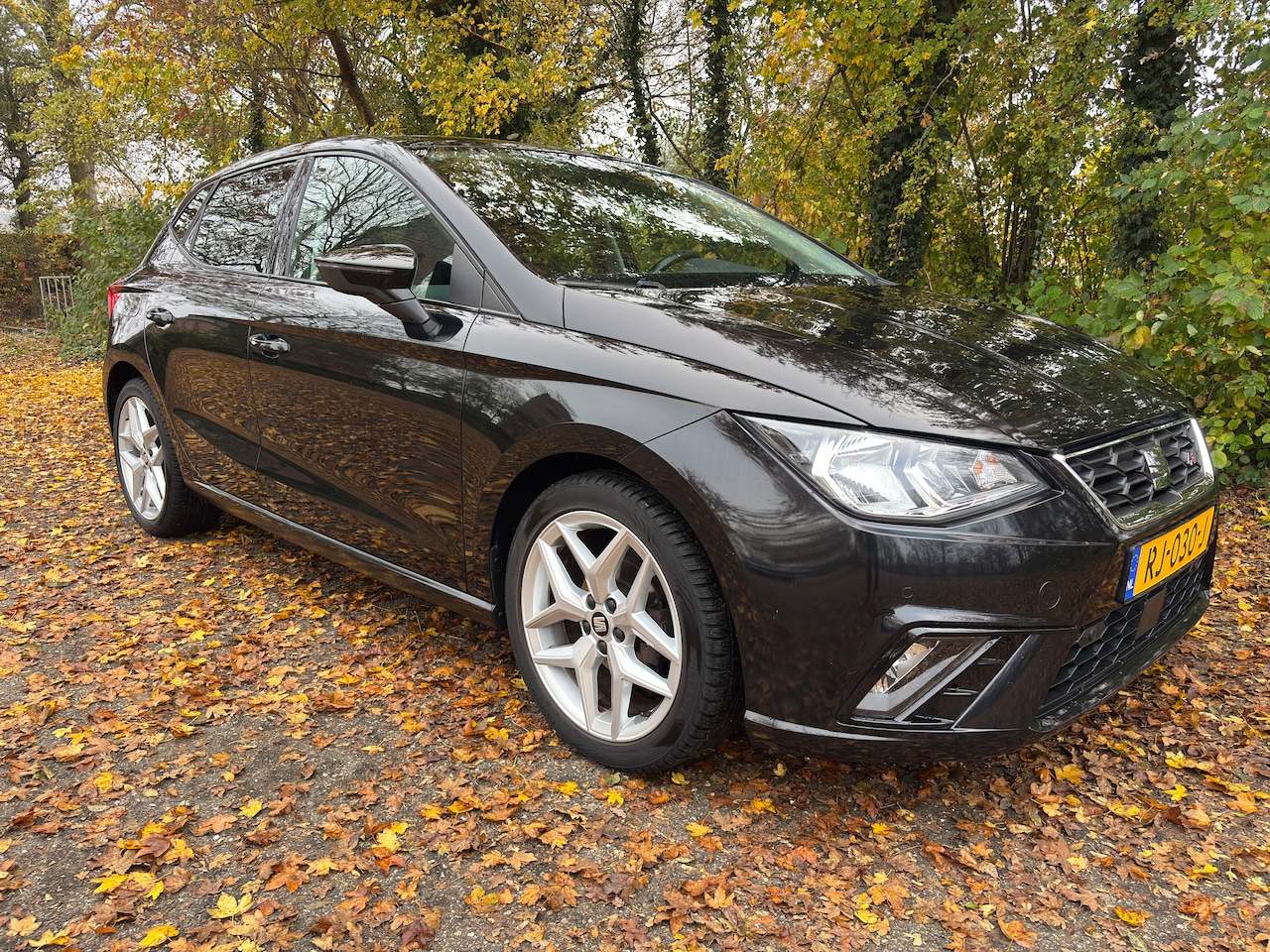 SEAT Ibiza - 1.0 TSI FR Business Intense 5-drs CarPlay, Camera, Cruise, Clima - AutoWereld.nl