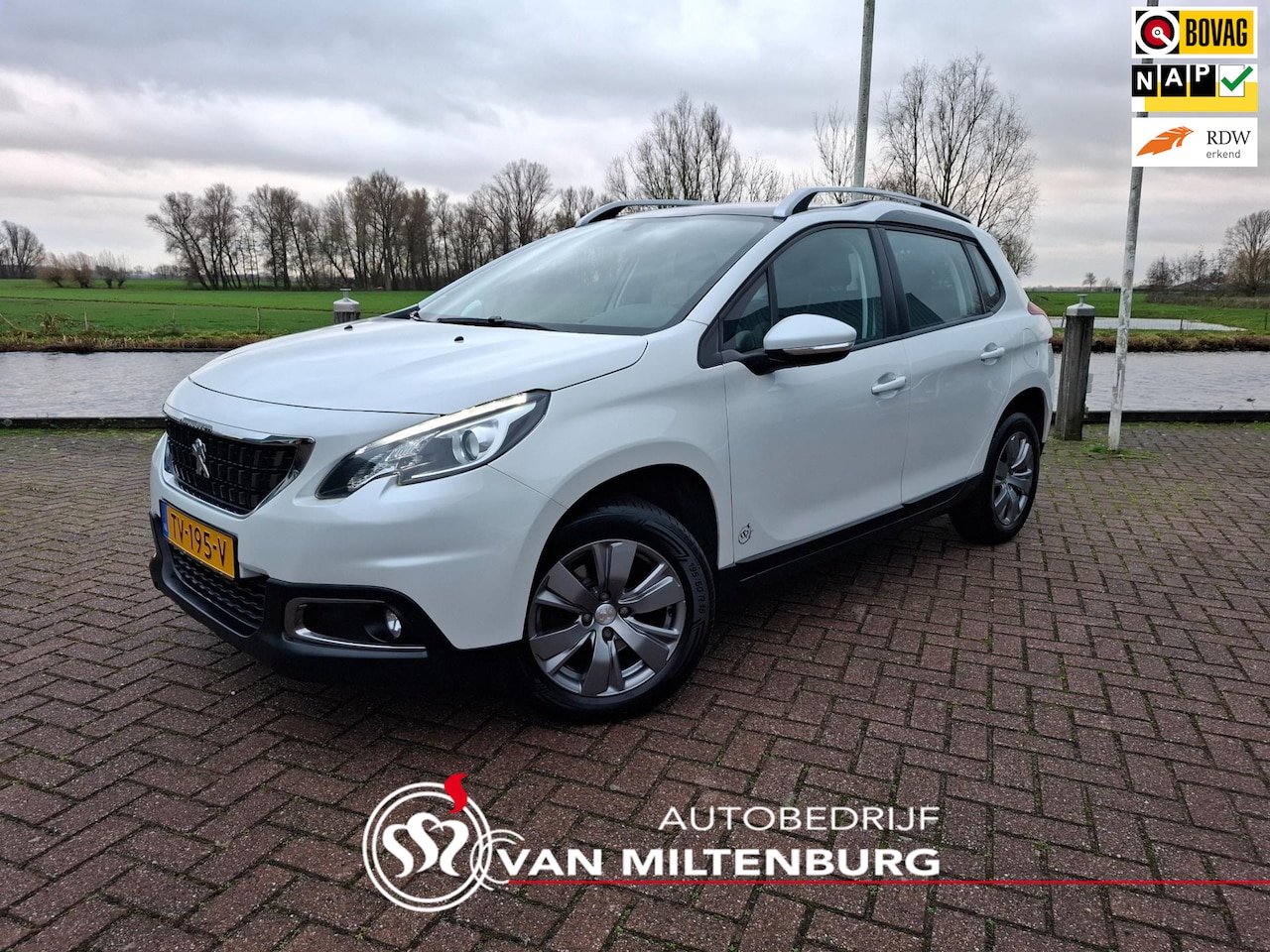 Peugeot 2008 - 1.2 PT Blue Lion Nwe Distr. riem Airco Apple/Android Pano dak Cruise PDC - AutoWereld.nl