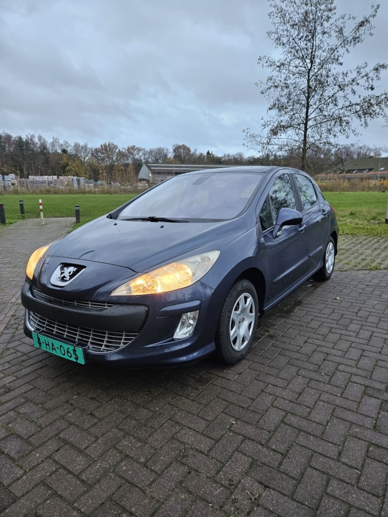 Peugeot 308 - 1.6 VTi XS 1.6 VTi XS - AutoWereld.nl