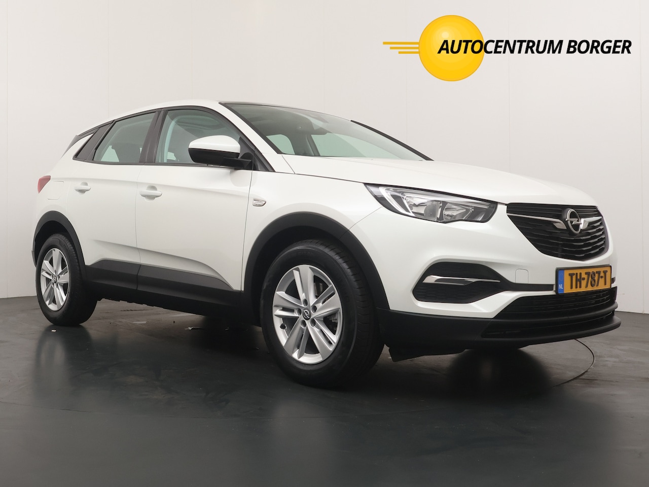 Opel Grandland X - 1.2 Turbo Automaat PanoDak/Navi/Airco/17"LM / Trekhaak /Camera / Parkeersensoren - AutoWereld.nl
