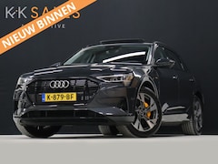 Audi e-tron - 55 quattro Business edition Plus 95 kWh [TREKHAAK AFNEEMBAAR, LUCHTVERING, SCHUIFKANTELDAK