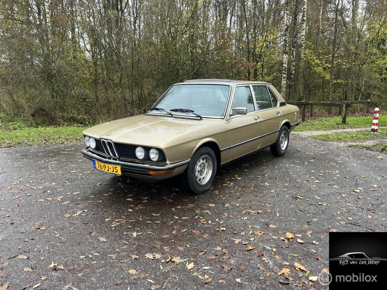 BMW 5-serie - 520 automaat LPG - AutoWereld.nl