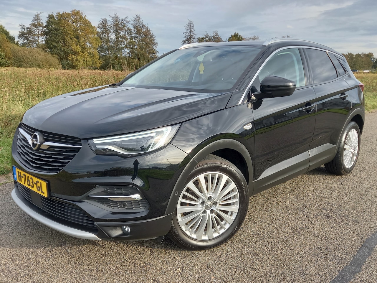 Opel Grandland X - 1.2 Turbo Business Executive 1.2 Turbo Business Executive - AutoWereld.nl