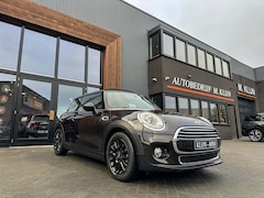 MINI Cooper - 1.5 First Born Edition 136pk Iced Chocolate/Pano/Led/Navi/Bruin leer/Ned auto