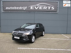 Opel Grandland X - 1.2 Turbo Business Executive dealer onderhouden boekjes en facturen aanwezig zeer mooie co