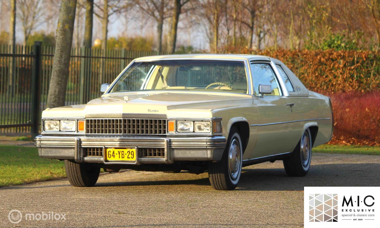 Cadillac De Ville - Coupe De Ville - AutoWereld.nl