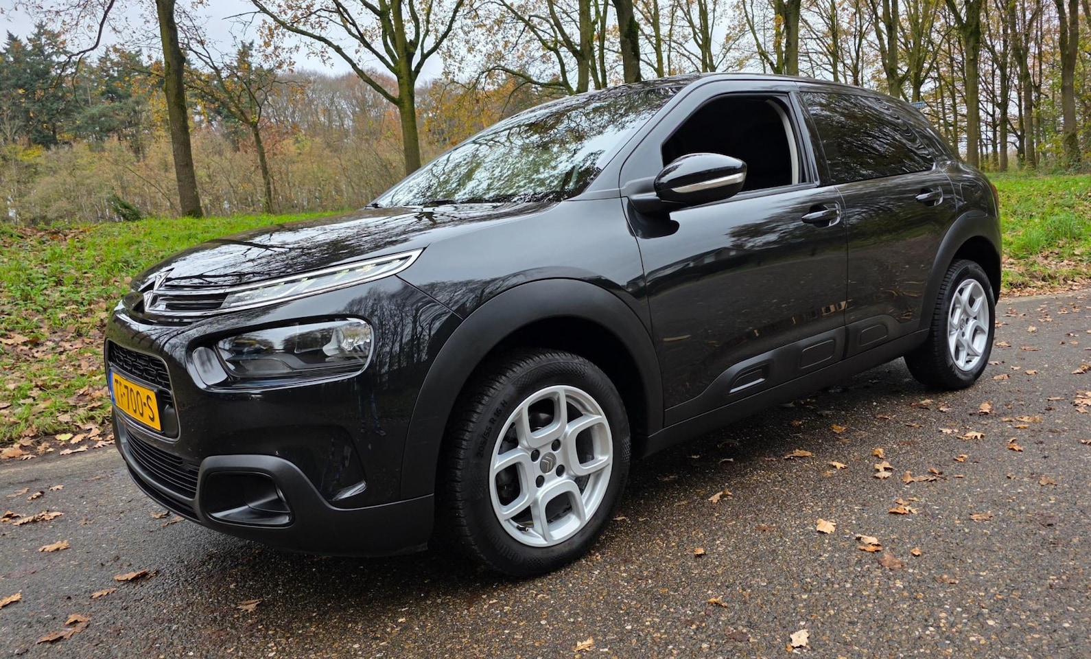 Citroën C4 Cactus - 1.2 PureTech NL Auto ! 2e Eigenaar ! - AutoWereld.nl