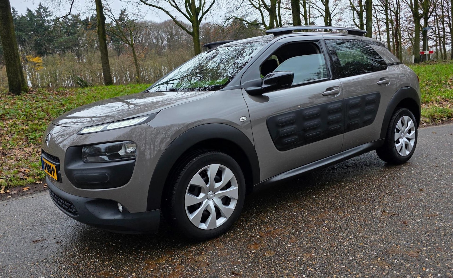 Citroën C4 Cactus - 1.2 PureTech NL Auto ! 1e Eigenaar ! - AutoWereld.nl
