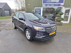 Opel Grandland X - 1.2 Turbo Business MET TREKHAAK