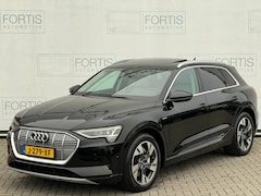 Audi e-tron - 55 quattro Business edition Plus 95 kWh NL AUTO | CAMERA | PANO |